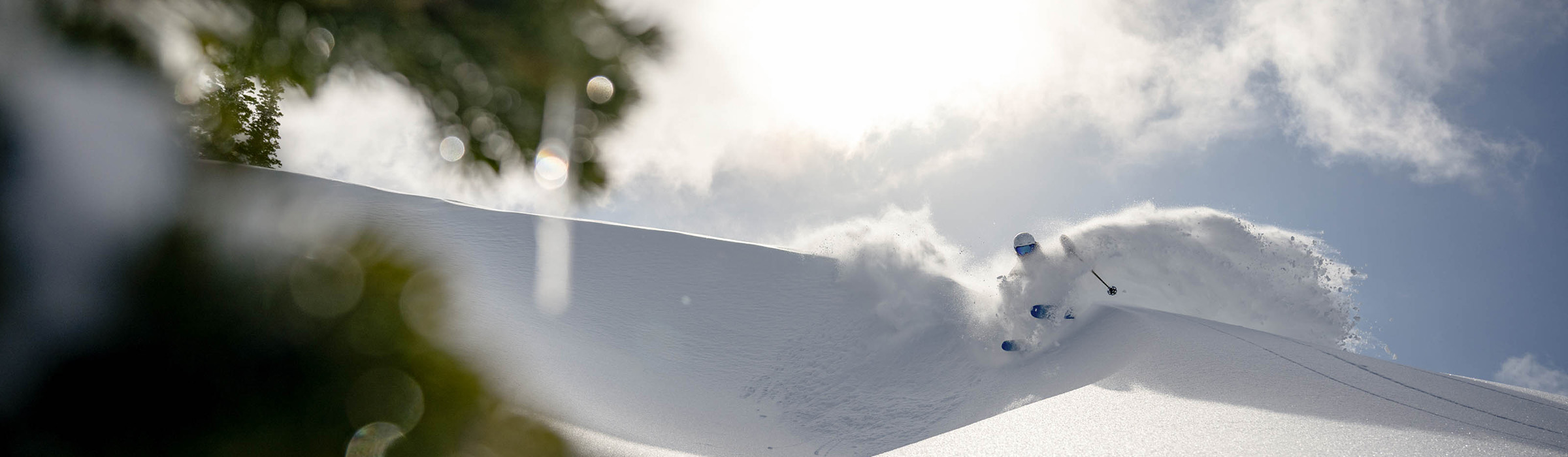 Deer Valley Winter Scenic